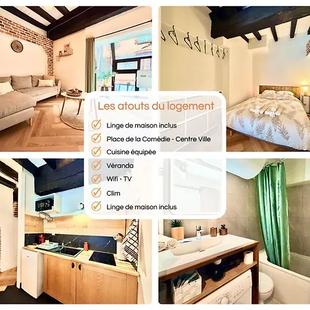 Appartement La Belle Comédie  Centre - Véranda - Clim Montauban