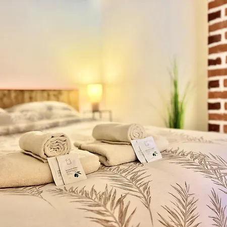 La Belle Comédie  Centre - Véranda - Clim Montauban