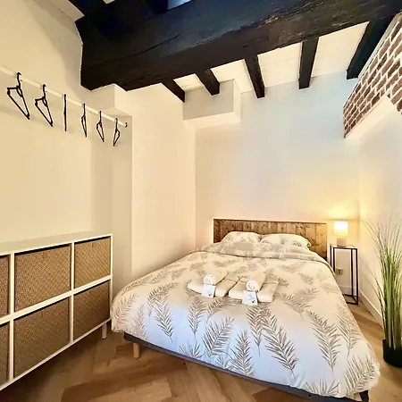 La Belle Comédie  Centre - Véranda - Clim Appartement Montauban