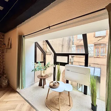 La Belle Comédie  Centre - Véranda - Clim * Montauban