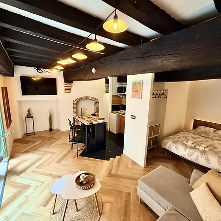 La Belle Comédie  Centre - Véranda - Clim * Montauban