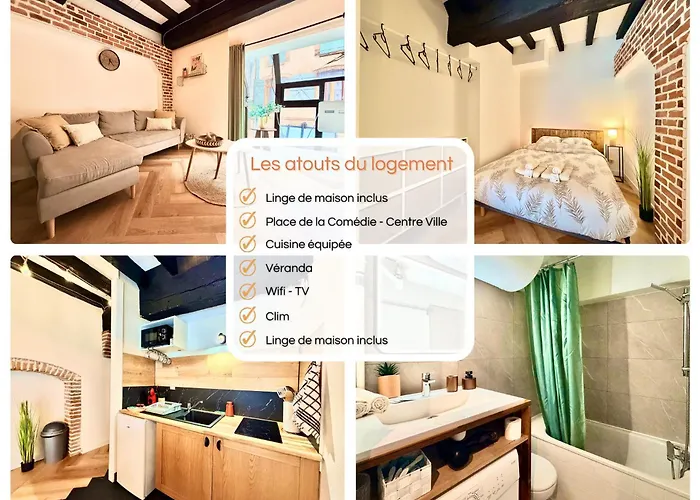 Appartement La Belle Comédie  Centre - Véranda - Clim Montauban