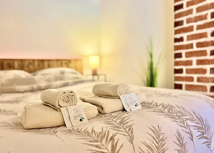 La Belle Comédie  Centre - Véranda - Clim Montauban