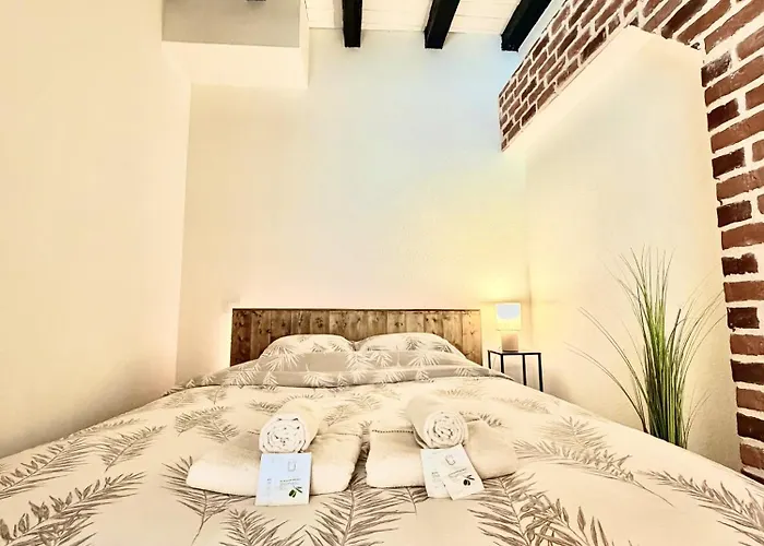 La Belle Comédie  Centre - Véranda - Clim Appartement Montauban