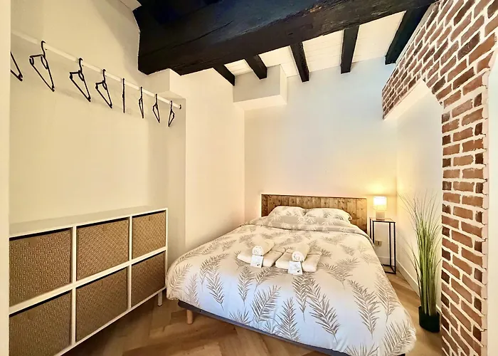 La Belle Comédie  Centre - Véranda - Clim Appartement Montauban