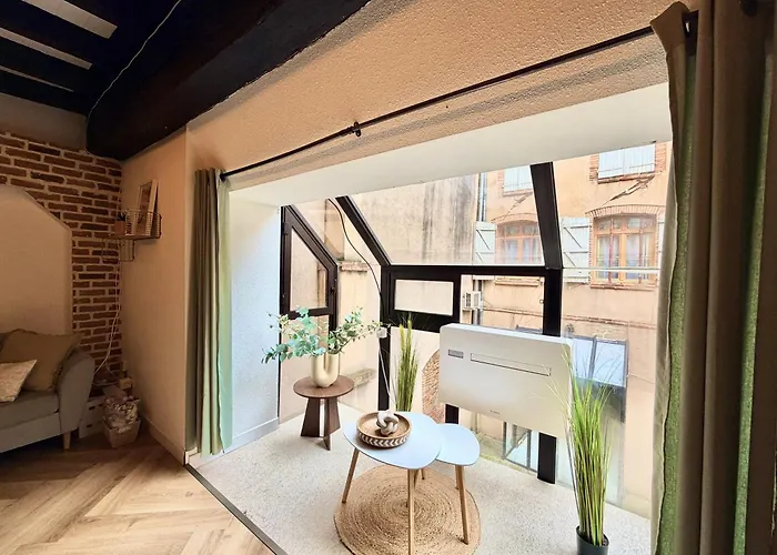 La Belle Comédie  Centre - Véranda - Clim * Montauban