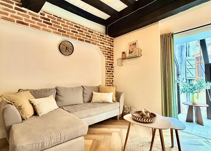 Appartement La Belle Comédie  Centre - Véranda - Clim Montauban