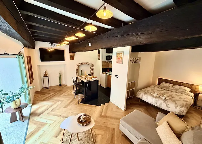 La Belle Comédie  Centre - Véranda - Clim * Montauban