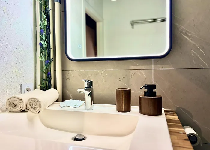 La Belle Comédie  Centre - Véranda - Clim Montauban