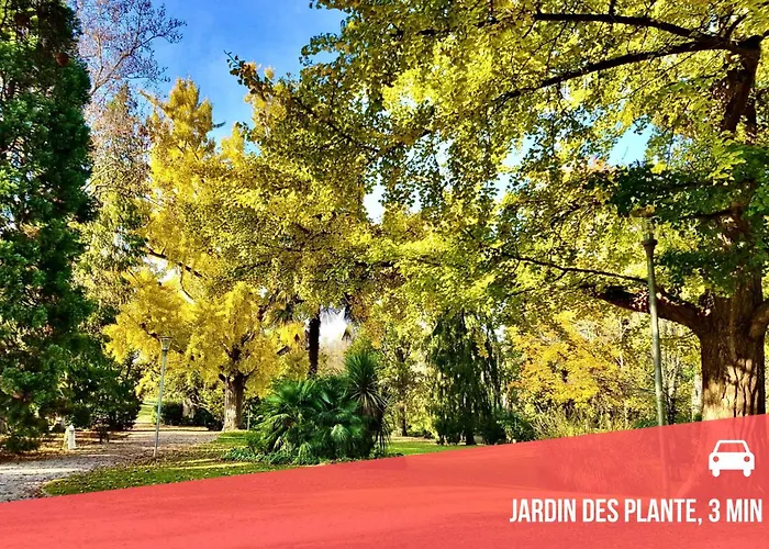 Appartement La Belle Comédie  Centre - Véranda - Clim